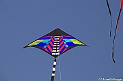 32 FESTIVAL CERVIA 2012 - 226
